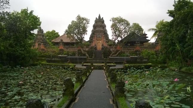 The Lotus Pond at Ubud